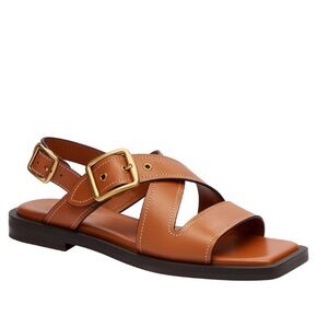 NIB COACH Women's Archival Buckle Sandals